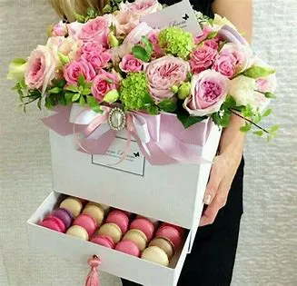 Student Essentials Pack