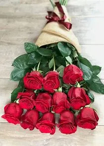 Business Professional Suite