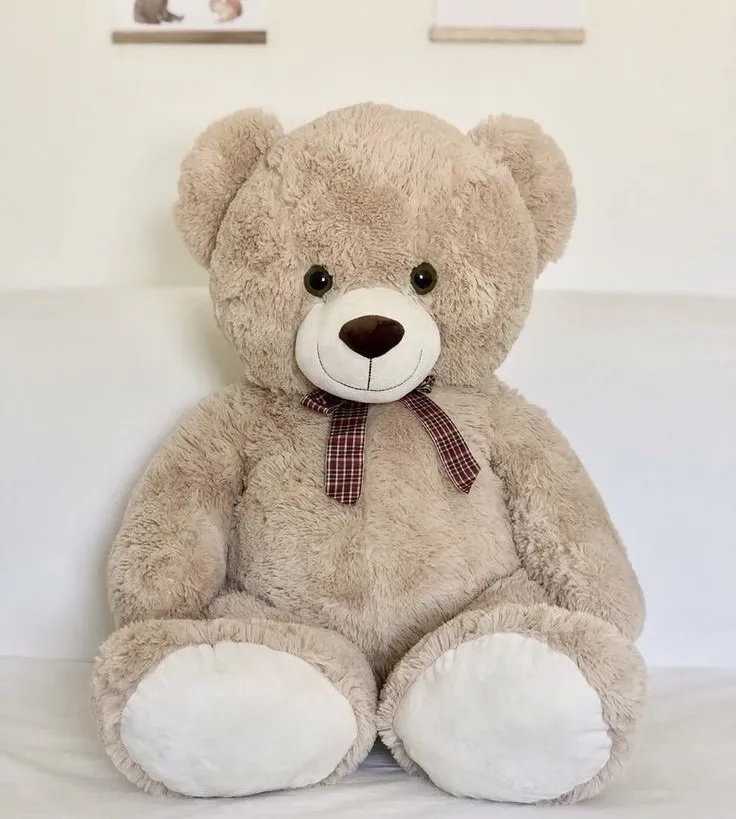 Cuddle Teddy Bear