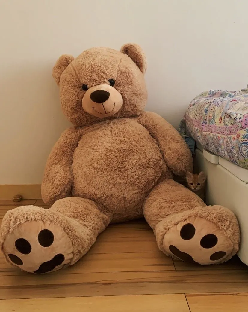 Big Size Bear